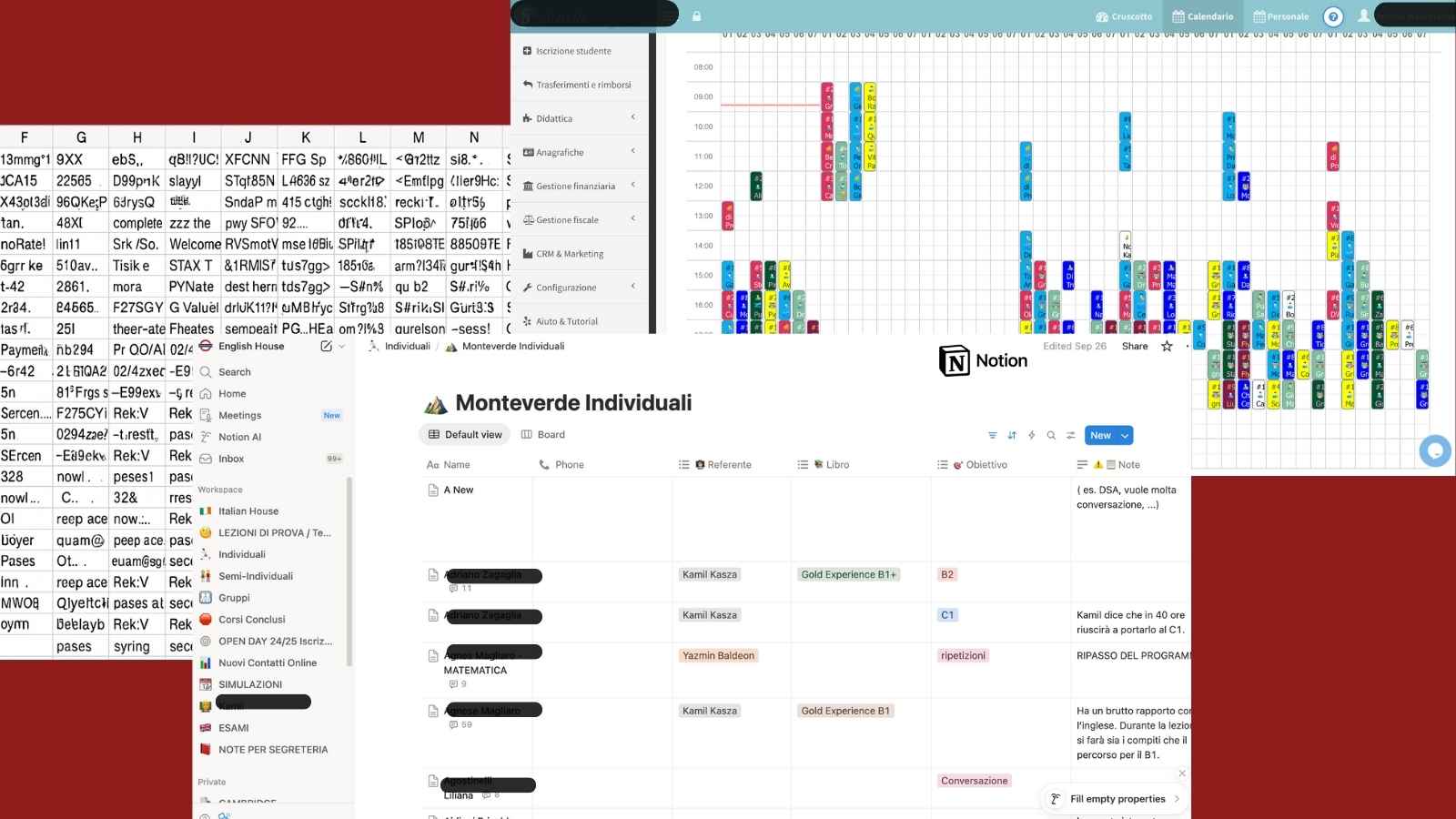 Excel e Notion complicati